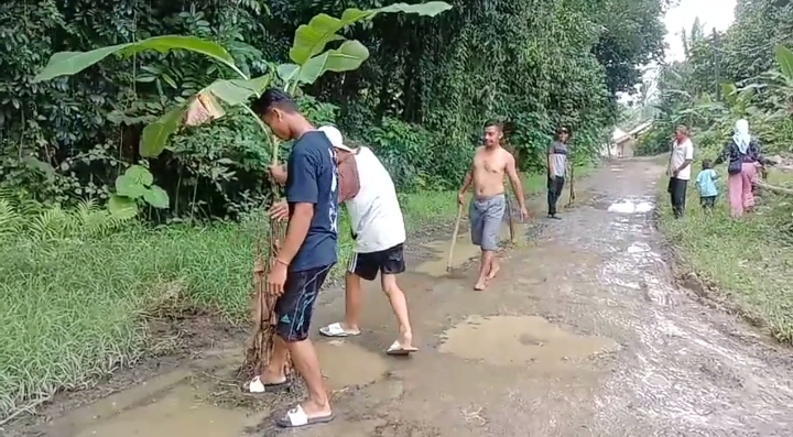 Warga Warung Gunung Tanam Pohon Pisang Solusi Kondisi Jalan Rusak