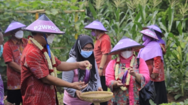 Program P2wkss Diklaim Maksimalkan Peran Perempuan Di Kabupaten