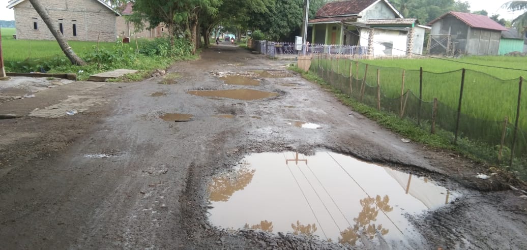 Jalan Rusak Ditanami Pisang Ini Ada di Pusat Ibukota Provinsi Banten