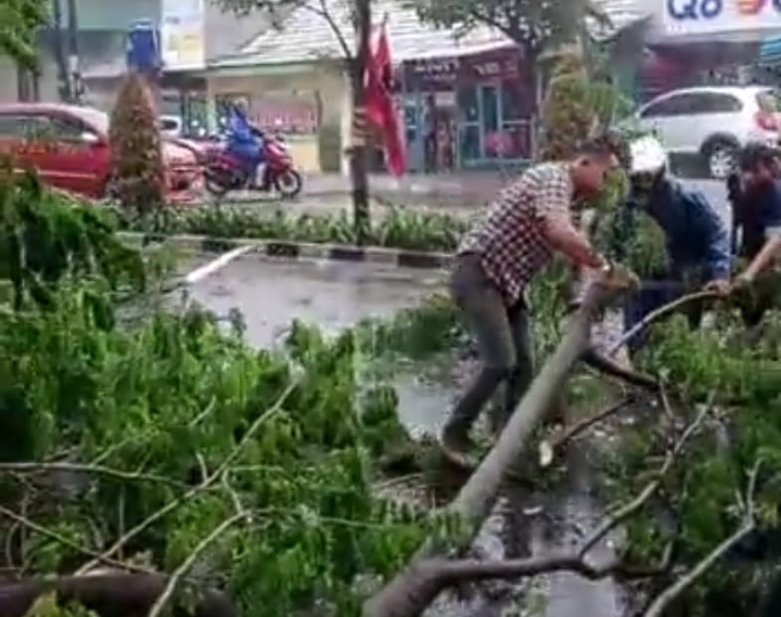 Hujan Disertai Angin Kencang Tumbangkan Banyak Pohon Di Serpong BantenNews Co Id Berita